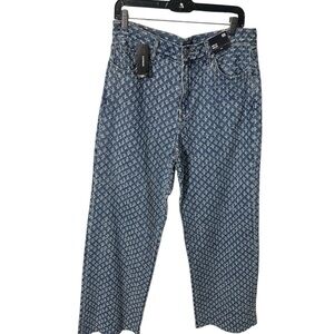 Express Blue Flare Wide Leg Denim